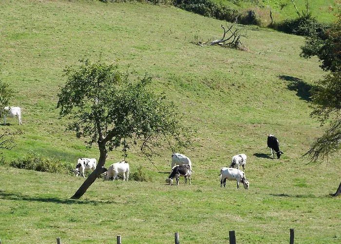 Hotel La Marechalerie *